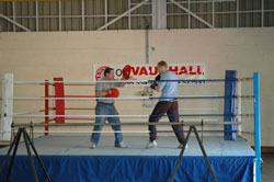 boxing ring professional